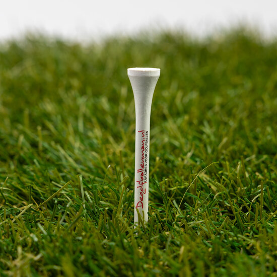 50 Lakeballs - Golfballs mix plus 25 tees
